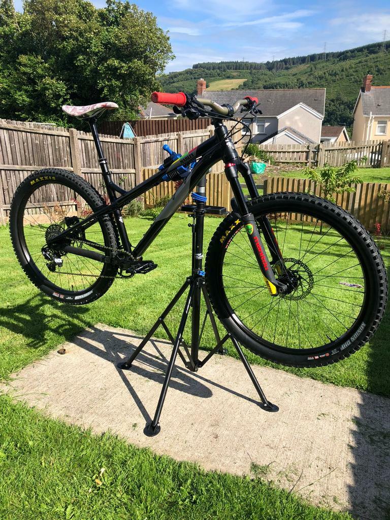 ragley marley 1.0 2019